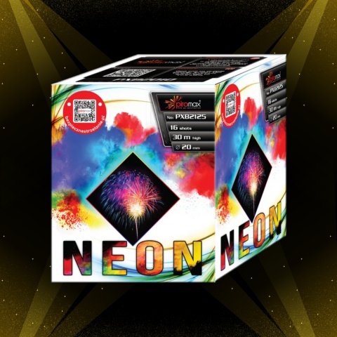 Bateria Neon PXB2125