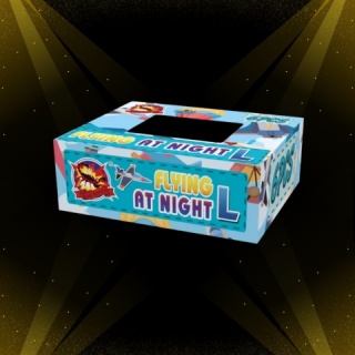 Motylki Flying at Night L 6 szt. od SRPYRO