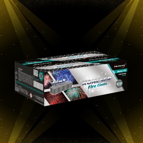 TXB599 KONESER FIRE FIESTA 172S